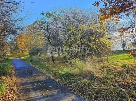 Prodej pozemku pro bydlení, 1 000 m²