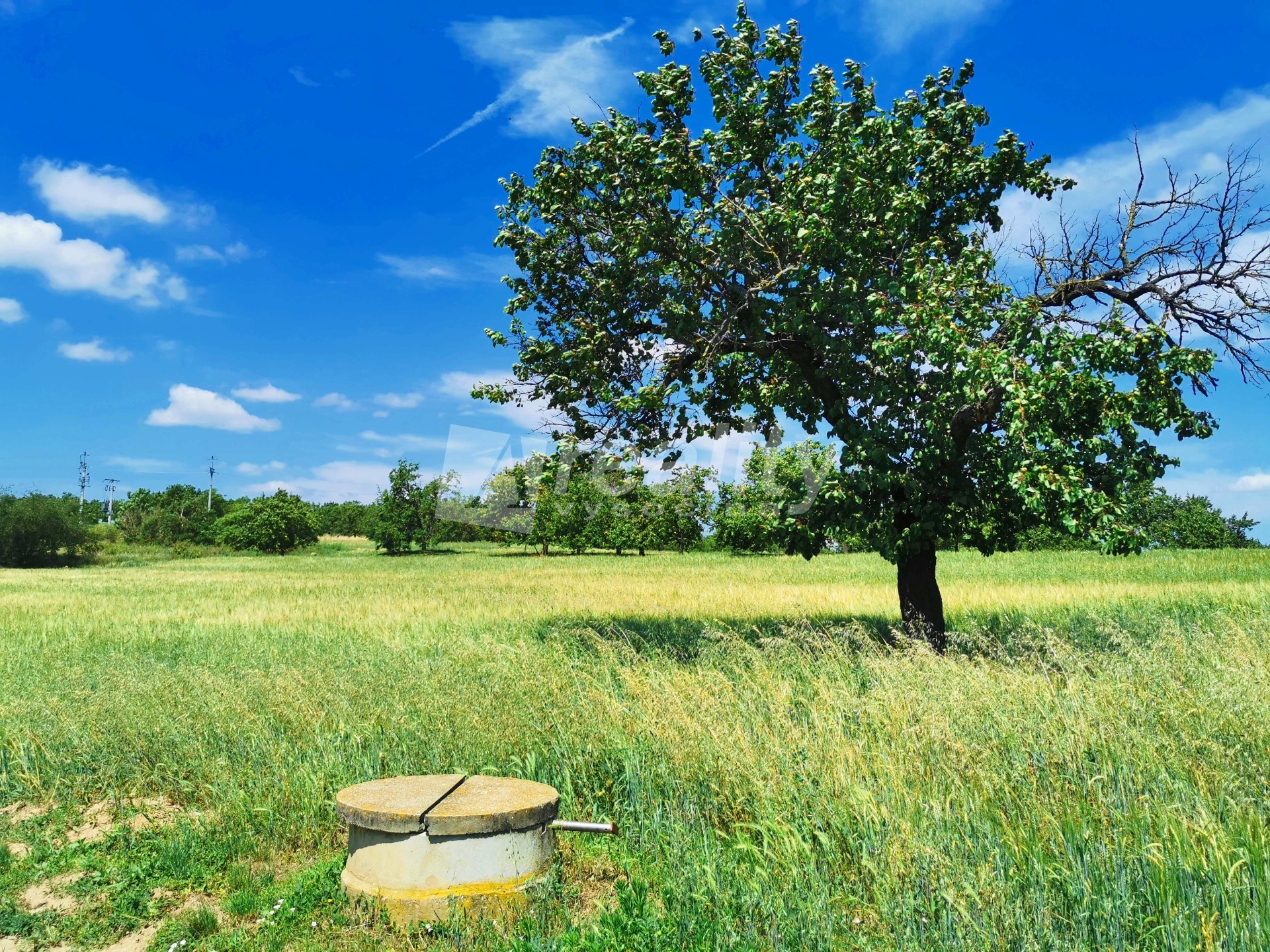 IMG_20220627_123109a