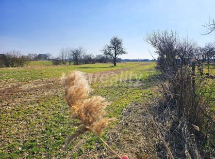 Prodej pozemku, zahrada, 2 719 m²