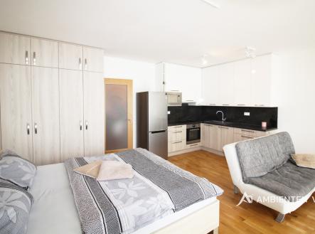 Pronájem bytu, 1+kk, 52 m²