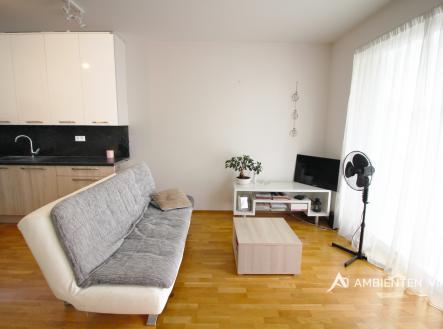 Pronájem bytu, 1+kk, 52 m²