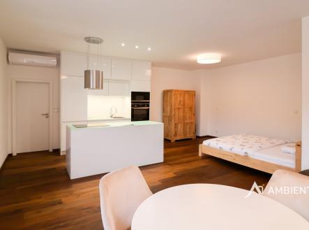 Pronájem bytu, 1+kk, 53 m²