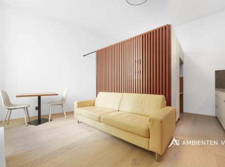 Pronájem bytu, 1+kk, 35 m²