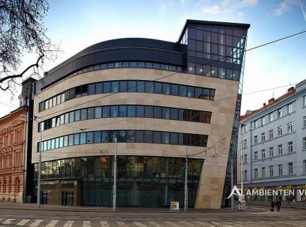 Pronájem kanceláře, 302 m²