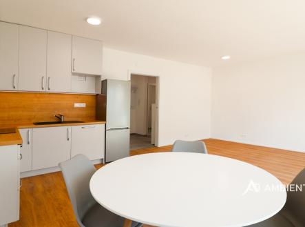 Pronájem bytu, 1+kk, 41 m²