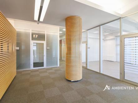 Pronájem kanceláře, 248 m²