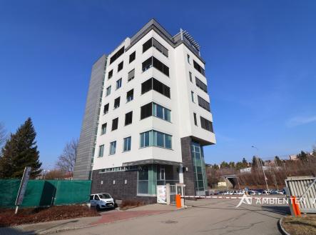 Pronájem kanceláře, 248 m²