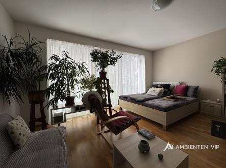 Pronájem bytu, 1+kk, 52 m²