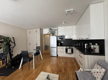 Pronájem bytu, 1+kk, 52 m²