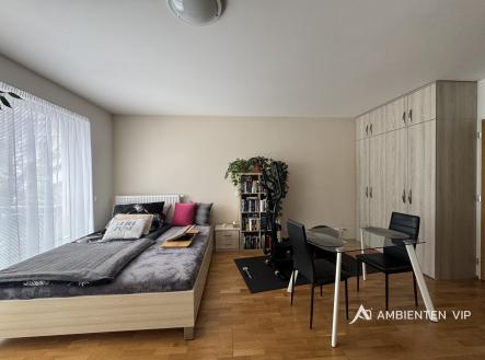 Pronájem bytu, 1+kk, 52 m²