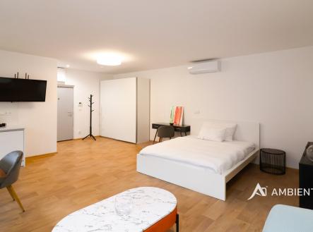 Pronájem bytu, 1+kk, 52 m²