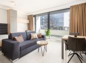 Pronájem bytu, 1+kk, 42 m²