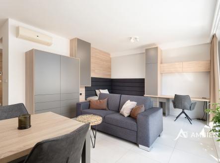 Pronájem bytu, 1+kk, 42 m²