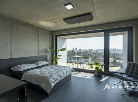 Pronájem bytu, 1+kk, 42 m²