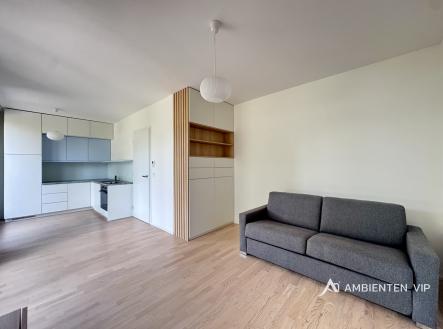 Pronájem bytu, 1+kk, 31 m²