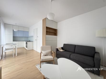 Pronájem bytu, 1+kk, 31 m²