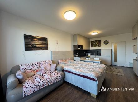 Pronájem bytu, 1+kk, 36 m²
