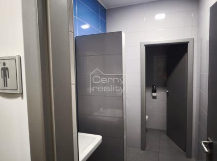 Pronájem kanceláře, 180 m²