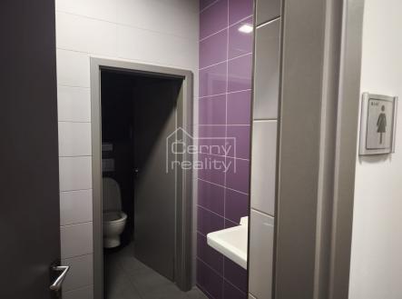 Pronájem kanceláře, 180 m²