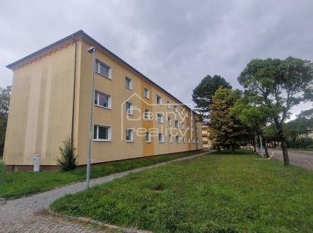 Fotka 17