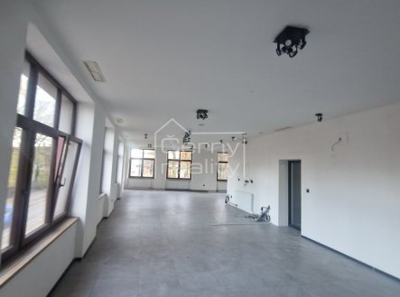 Pronájem luxusních nebytových prostor (120 m2) v Hronově, 1.patro