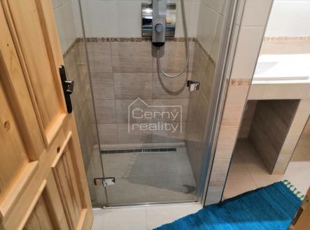 Pronájem bytu, 2+kk, 46 m²