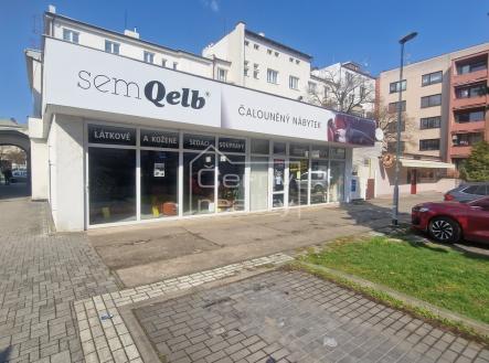 Pronájem obchodní prostor, 110 m²
