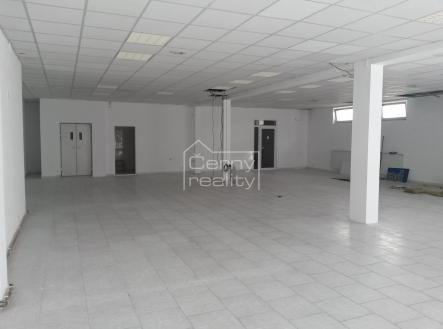 Pronájem obchodní prostor, 110 m²