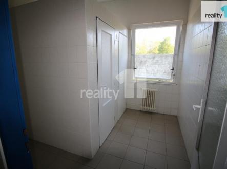 Pronájem kanceláře, 14 m²