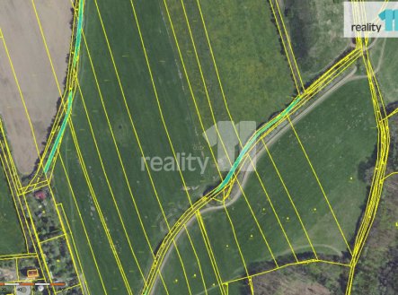 Prodej pozemku, zemědělská půda, 2 000 m²