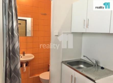 Pronájem bytu, 1+kk, 15 m²
