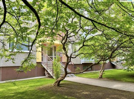 Pronájem bytu, 1+kk, 15 m²
