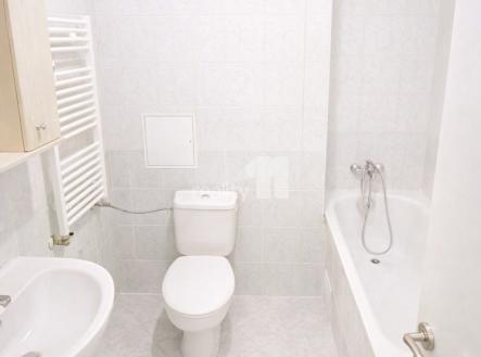 Pronájem bytu, 1+kk, 50 m²