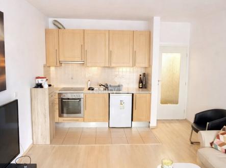 Pronájem bytu, 1+kk, 50 m²