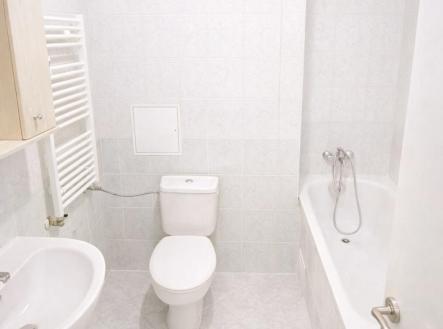 Pronájem bytu, 1+kk, 50 m²