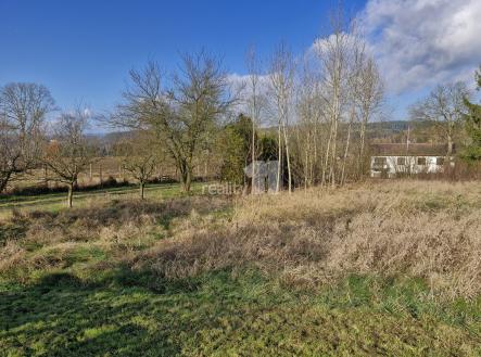 Prodej - pozemek, trvalý travní porost, 1 669 m²