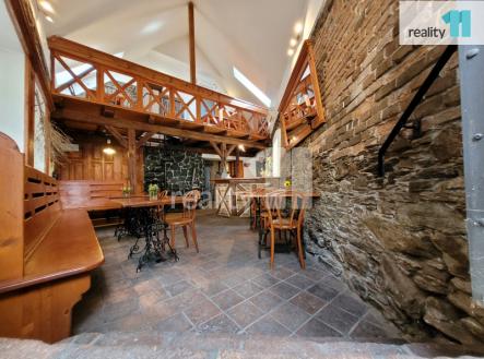 Pronájem obchodní prostor, 100 m²