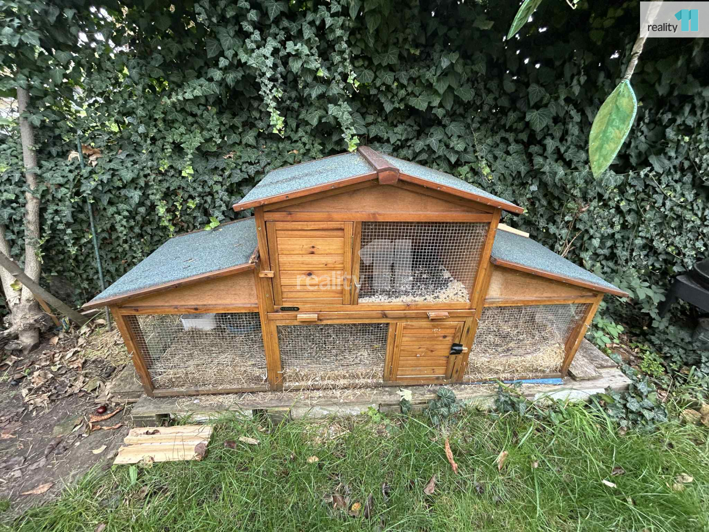 Fotku se nepodařilo načíst.