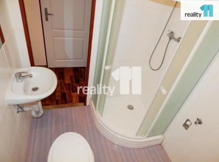 Pronájem bytu, 1+kk, 20 m²