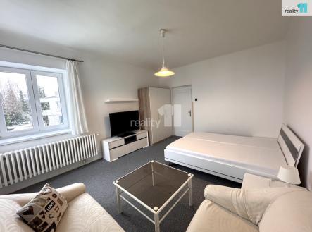 Pronájem bytu, 1+1, 49 m²