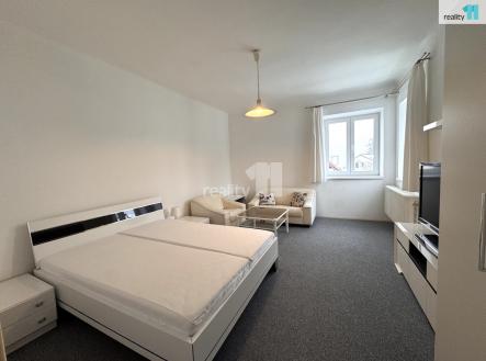 Pronájem bytu, 1+1, 49 m²