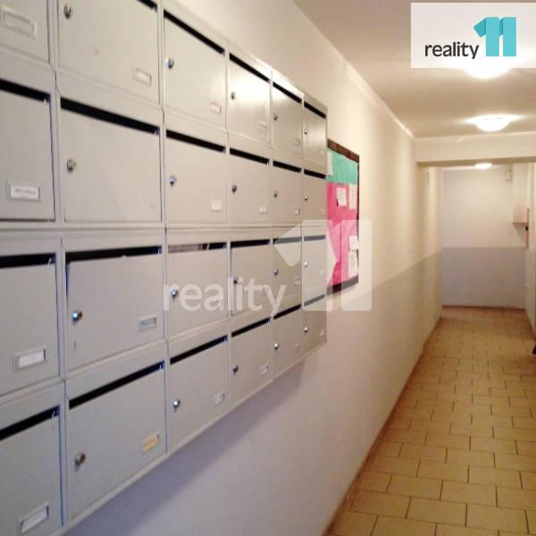 Fotku se nepodařilo načíst.