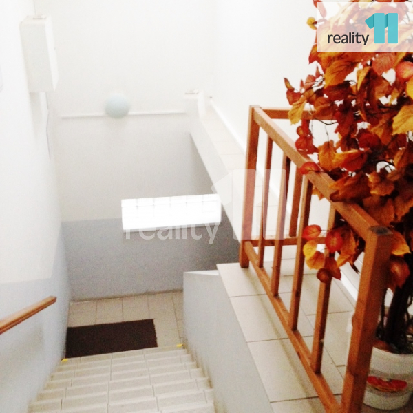 Fotku se nepodařilo načíst.