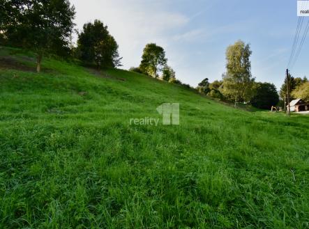 Prodej pozemku pro bydlení, 6 515 m²