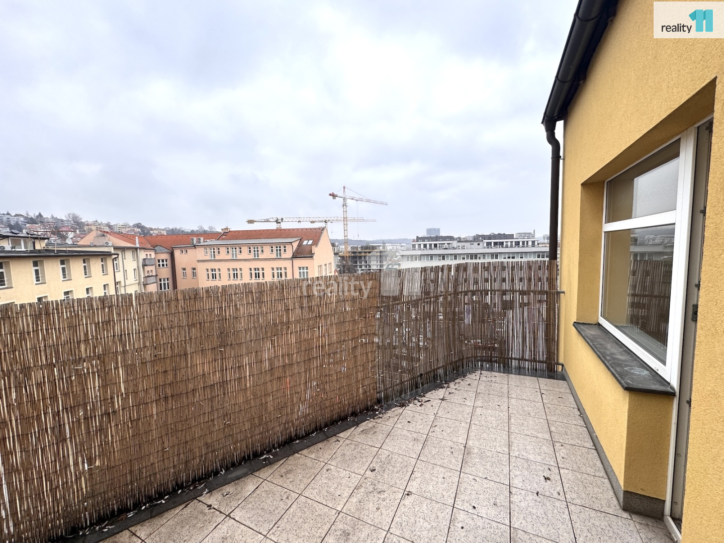 Fotku se nepodařilo načíst.