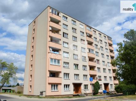 Pronájem bytu, 1+kk, 19 m²