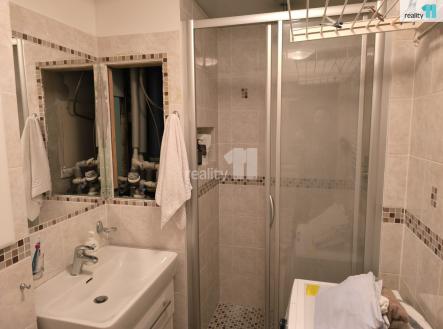 Pronájem bytu, 1+kk, 20 m²