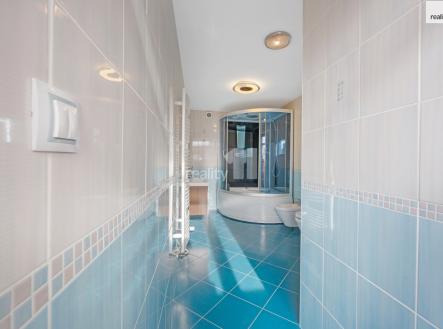 Prodej domu/vily, 516 m²