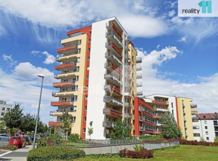 Pronájem bytu, 1+kk, 38 m²