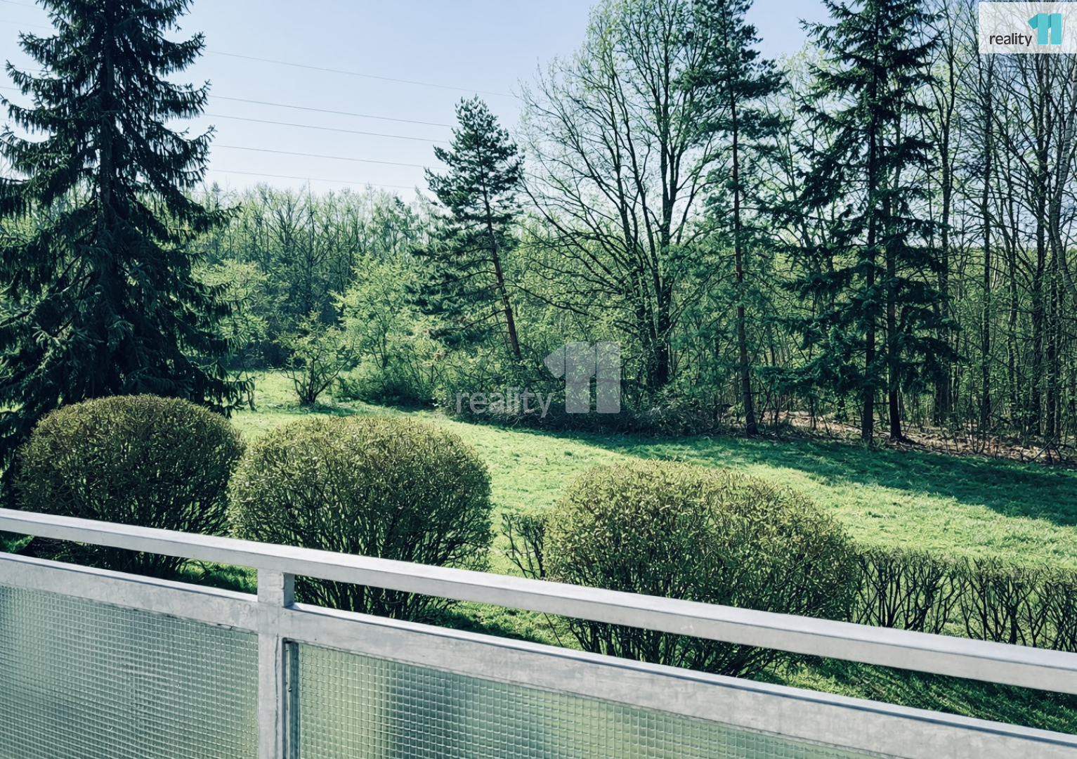 výhled z lodžie do zeleně